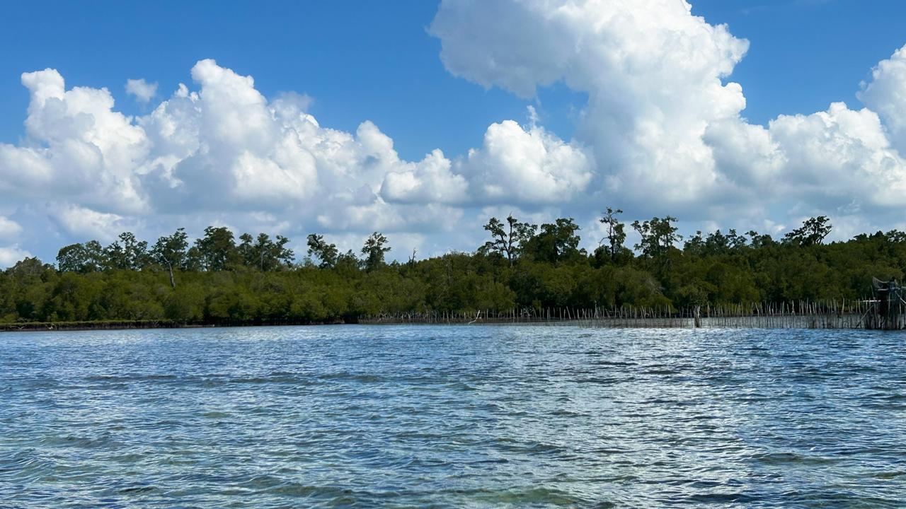 Pulau Kedindingan. (Fitri Wahyuningsih/Kaltim Today)